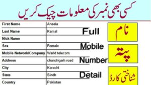 Pakdata CF