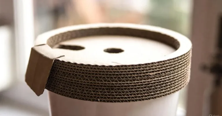 Pappedeckel: Eco Cardboard Lids for Packaging 18 Pappedeckel