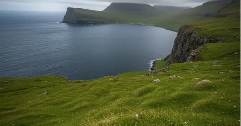 vuzillfotsps island today