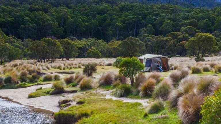 Riverside camping in Kosciuszko National Park NSW with snow gum trees