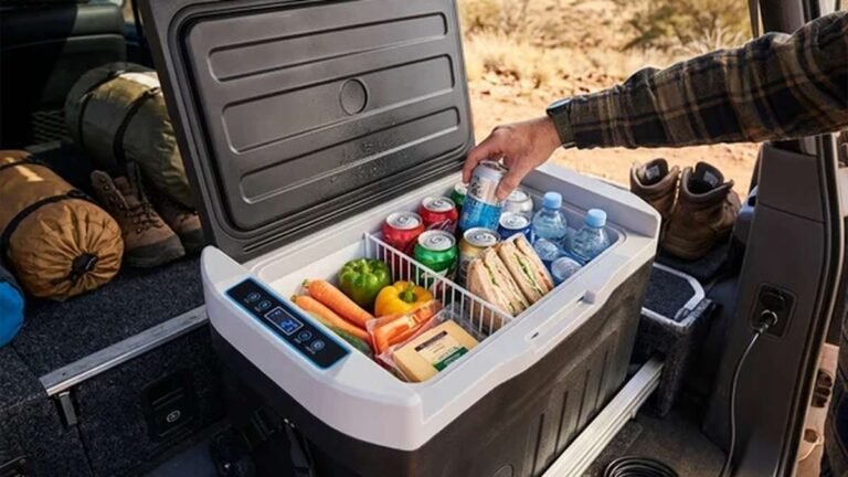 Best Portable Fridges Camping Australia 12 Open 12V portable fridge in the back of a 4WD at camp