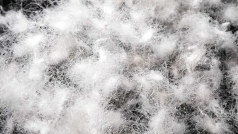 Down vs Synthetic Sleeping Bags 1 Down insulation compared with synthetic sleeping bag insulation fibres