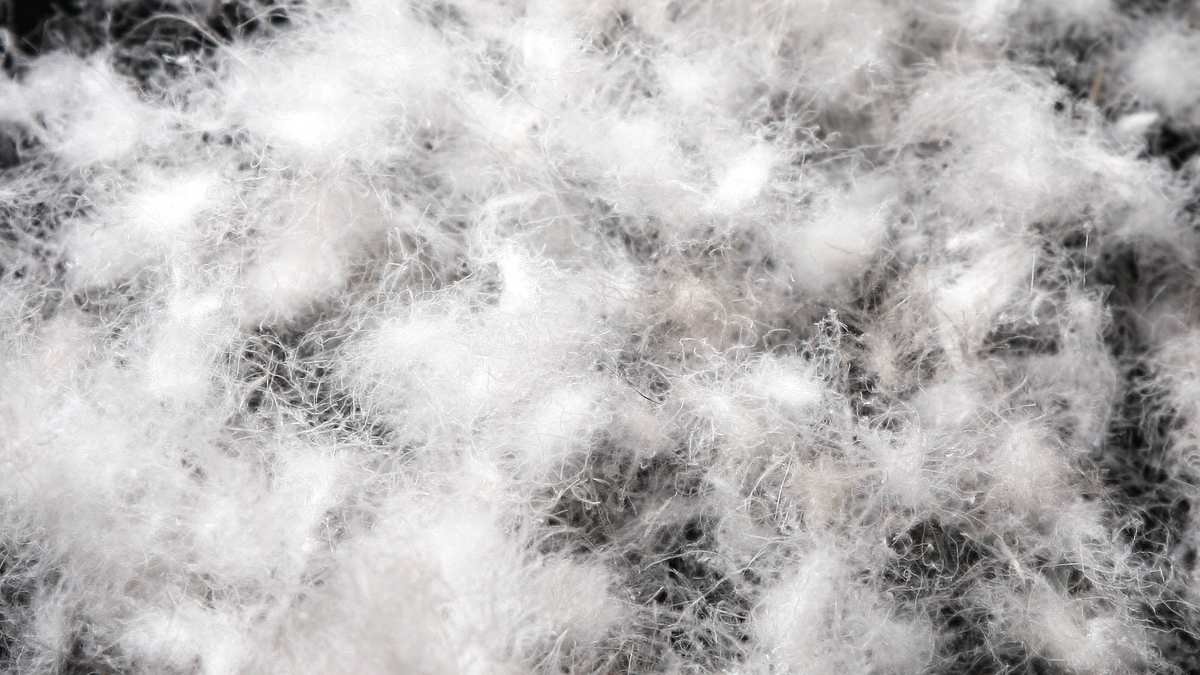 Down vs Synthetic Sleeping Bags 1 Down insulation compared with synthetic sleeping bag insulation fibres